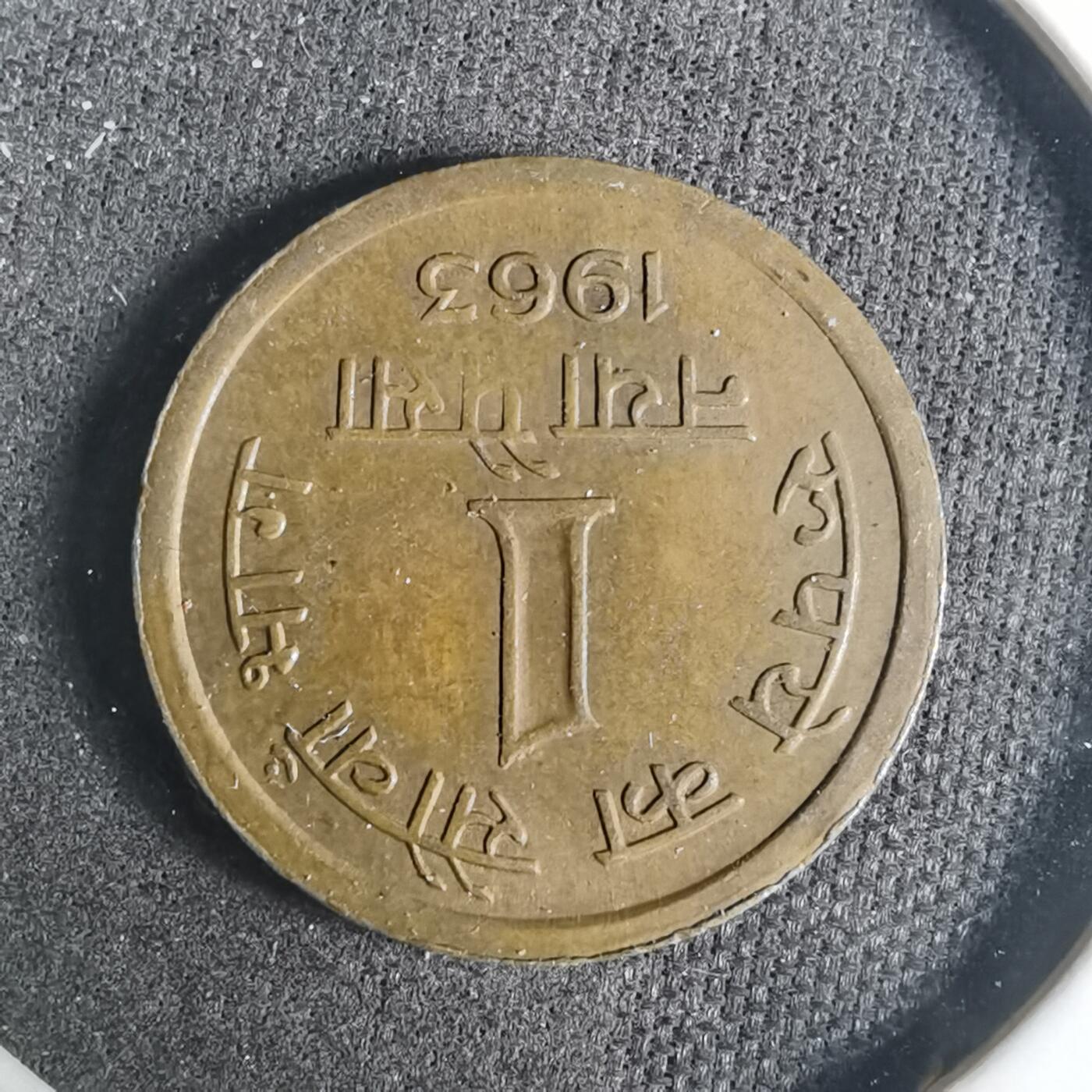 沼泽如烟--第919场