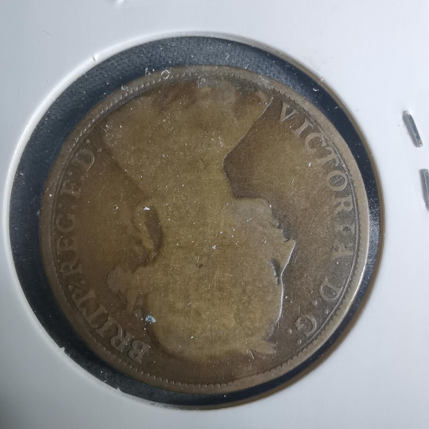 沼泽如烟--第919场