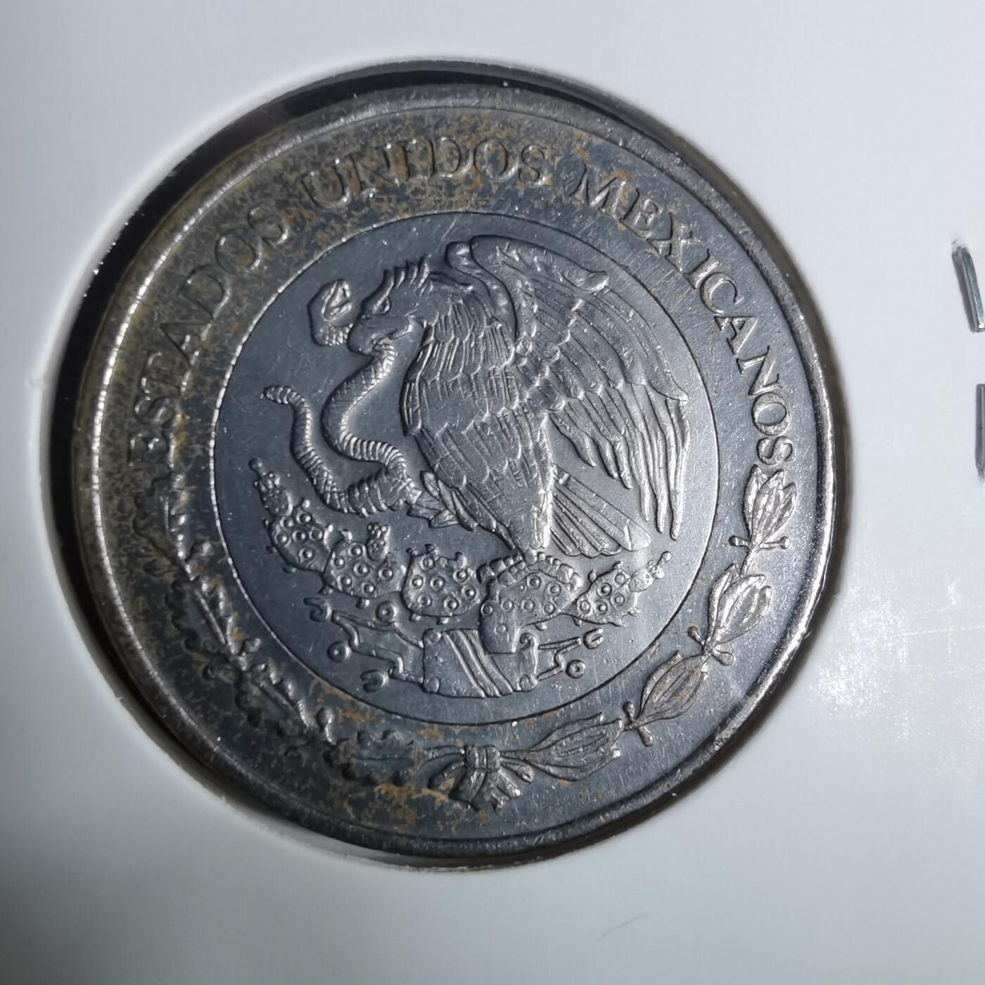 沼泽如烟--第919场