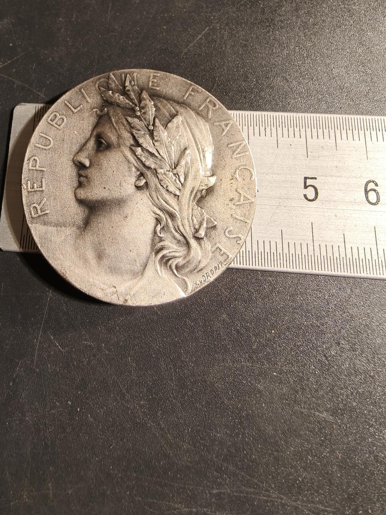 老王徽章第167期 法国全国S.I.C.A.E.联合会镀银大铜章     大师Dropsy作品     直径41mm.    重量42.3g