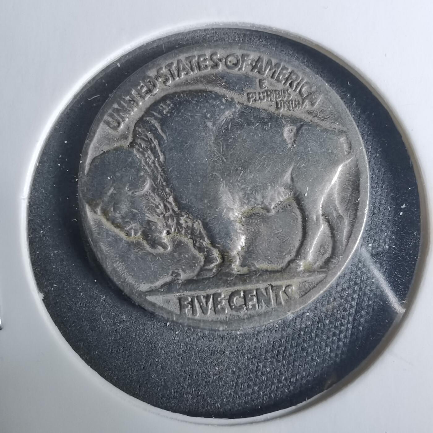 沼泽如烟--第919场 美国野牛五分