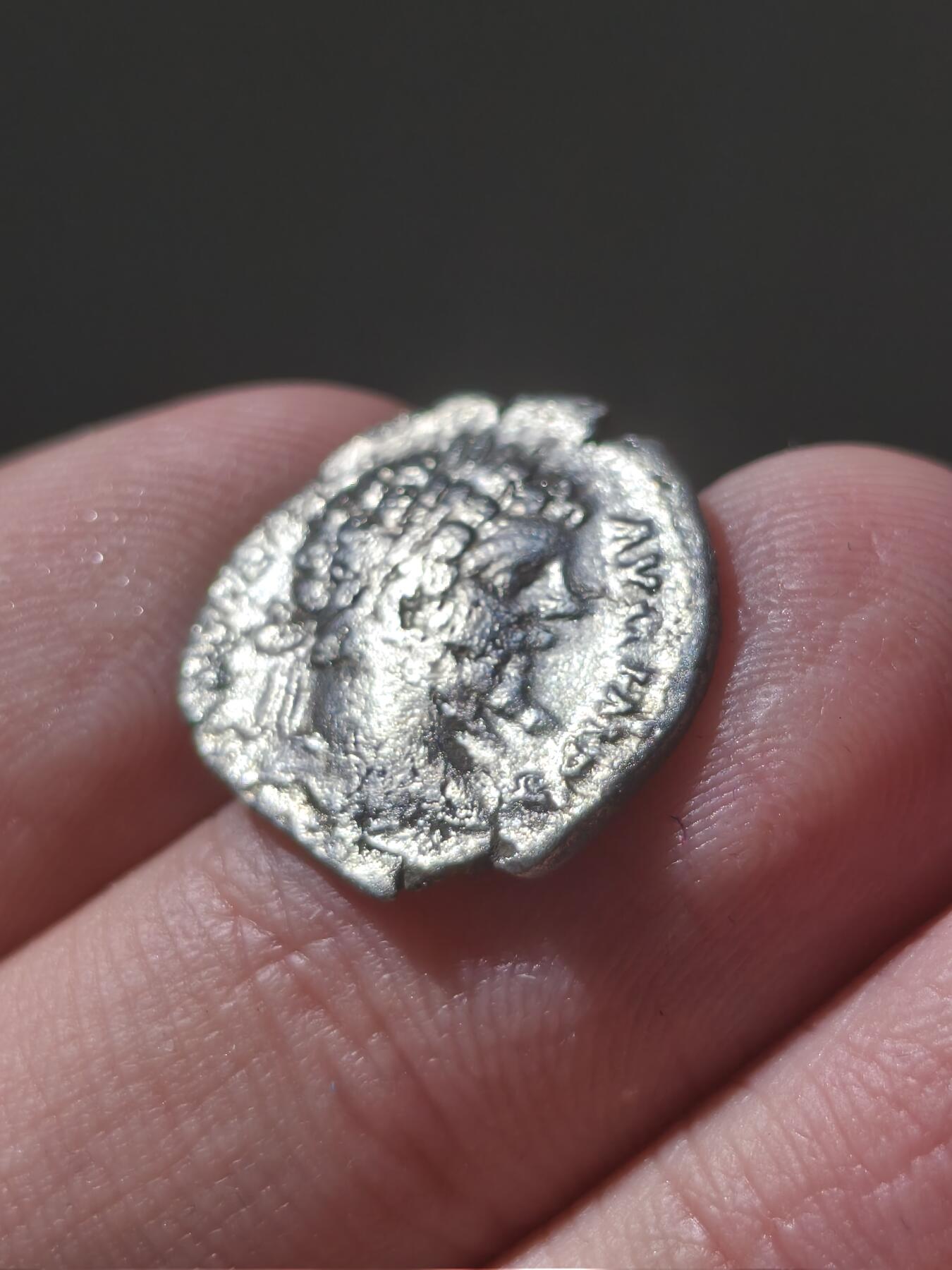 星盘世界钱币十二月六日古典币专场