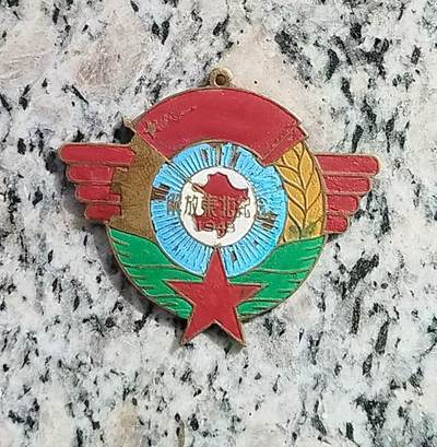 【玉仁】年底最后一拍.徽章书籍钱币场（全场0起.精品多多） - 解放时期颁发的“东北解放纪念章”，东北人民政府与解放后期制作，发给参与东北解放战争的人民军队战士和支前农工，保真老