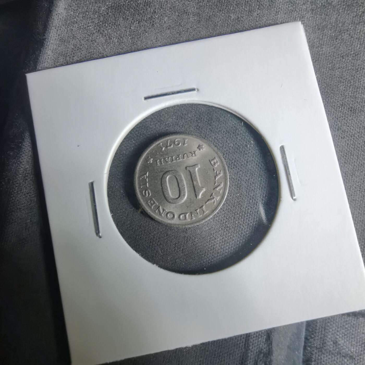 沼泽如烟--第919场