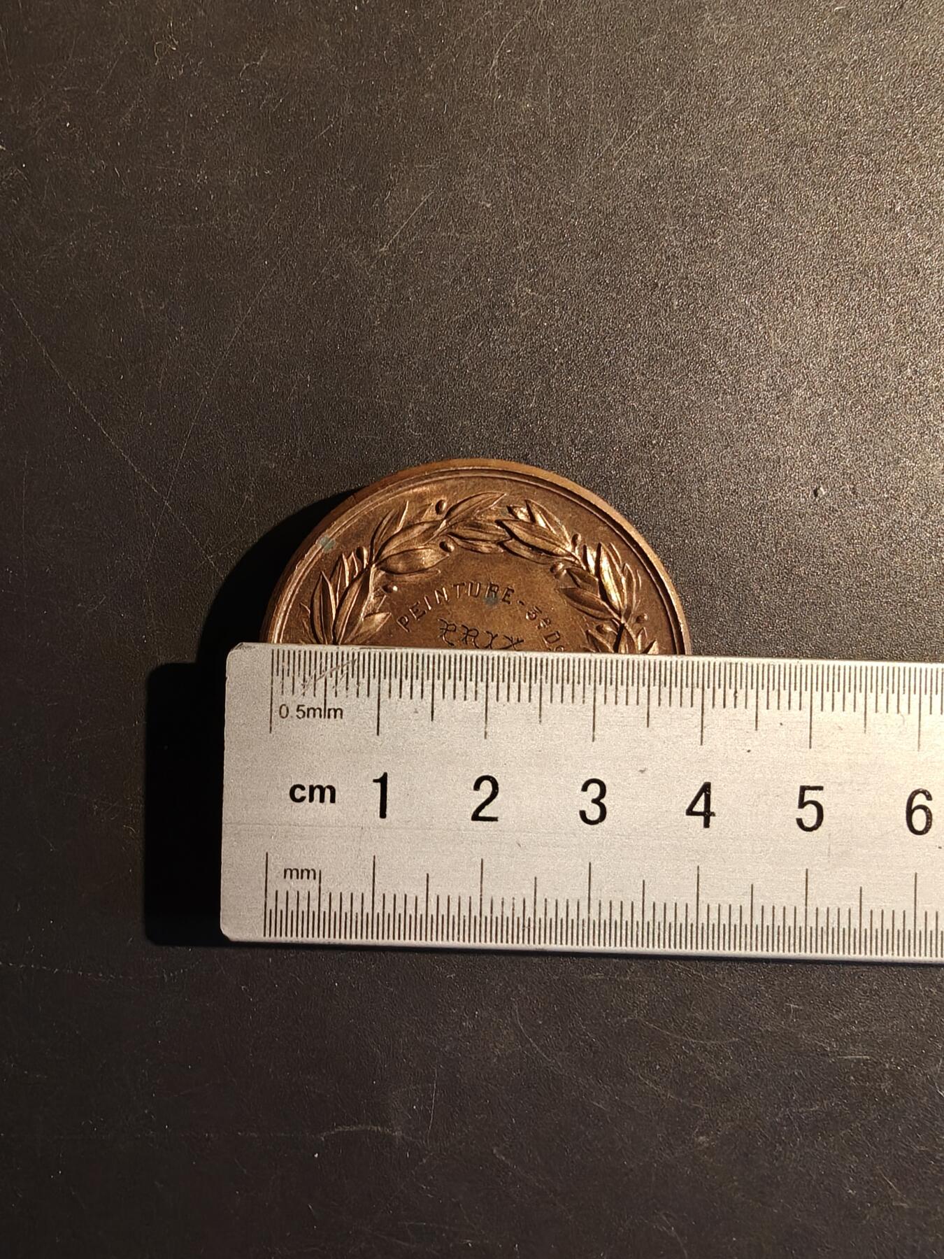 老王徽章第167期 法国罗讷省职业培训协会大铜章    直径39mm.   重量35.8g