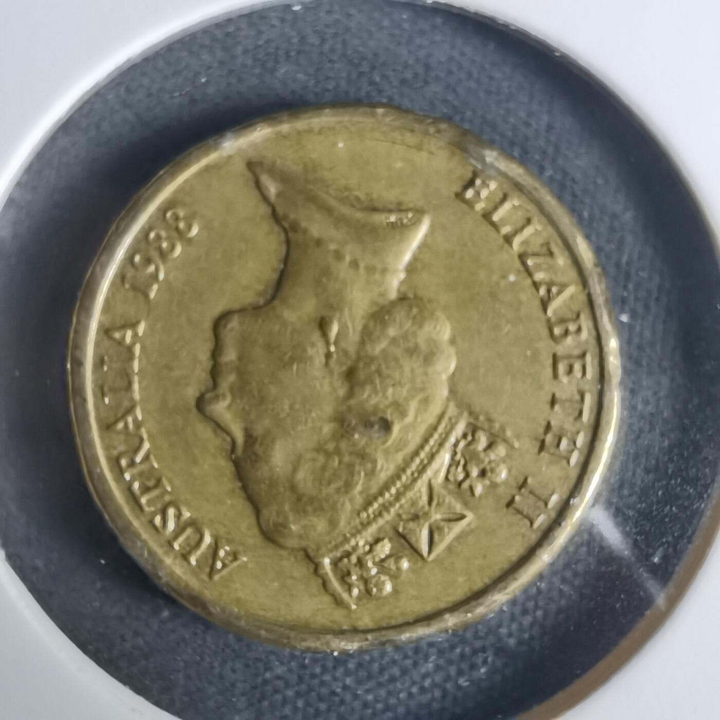 沼泽如烟--第919场