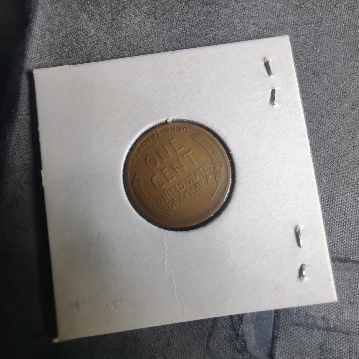 沼泽如烟--第919场