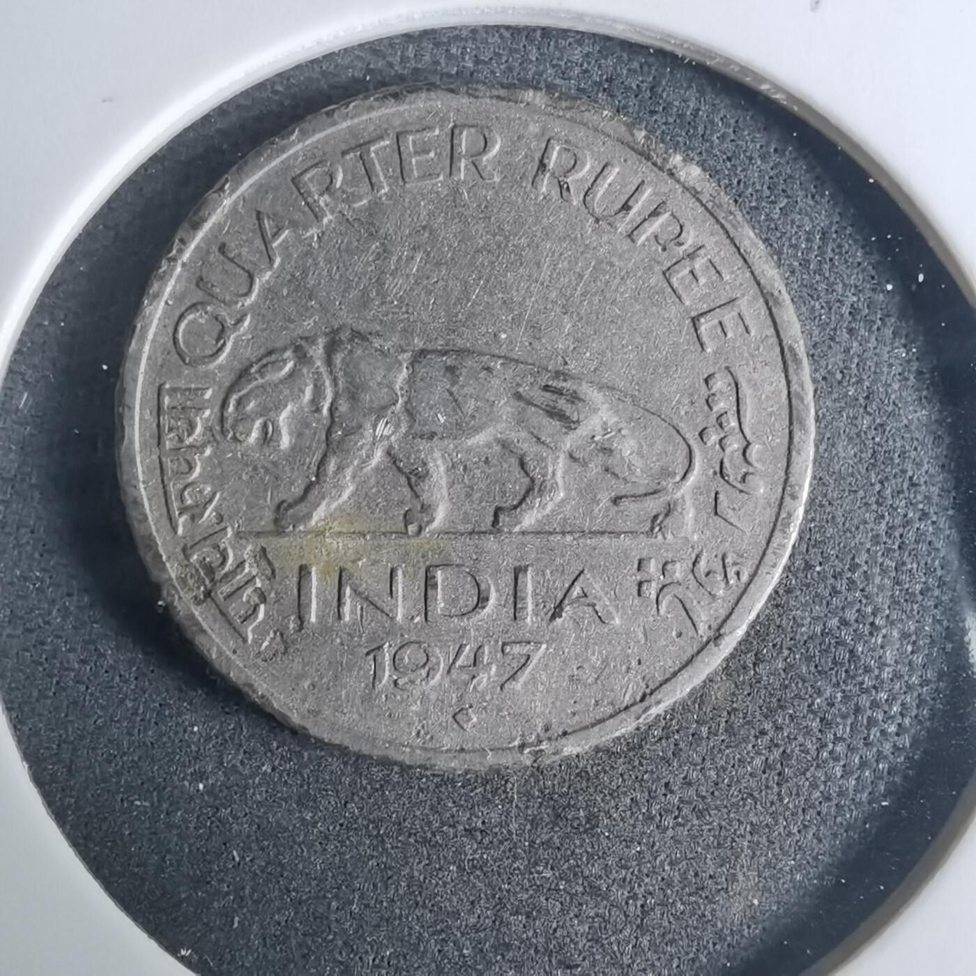 沼泽如烟--第919场