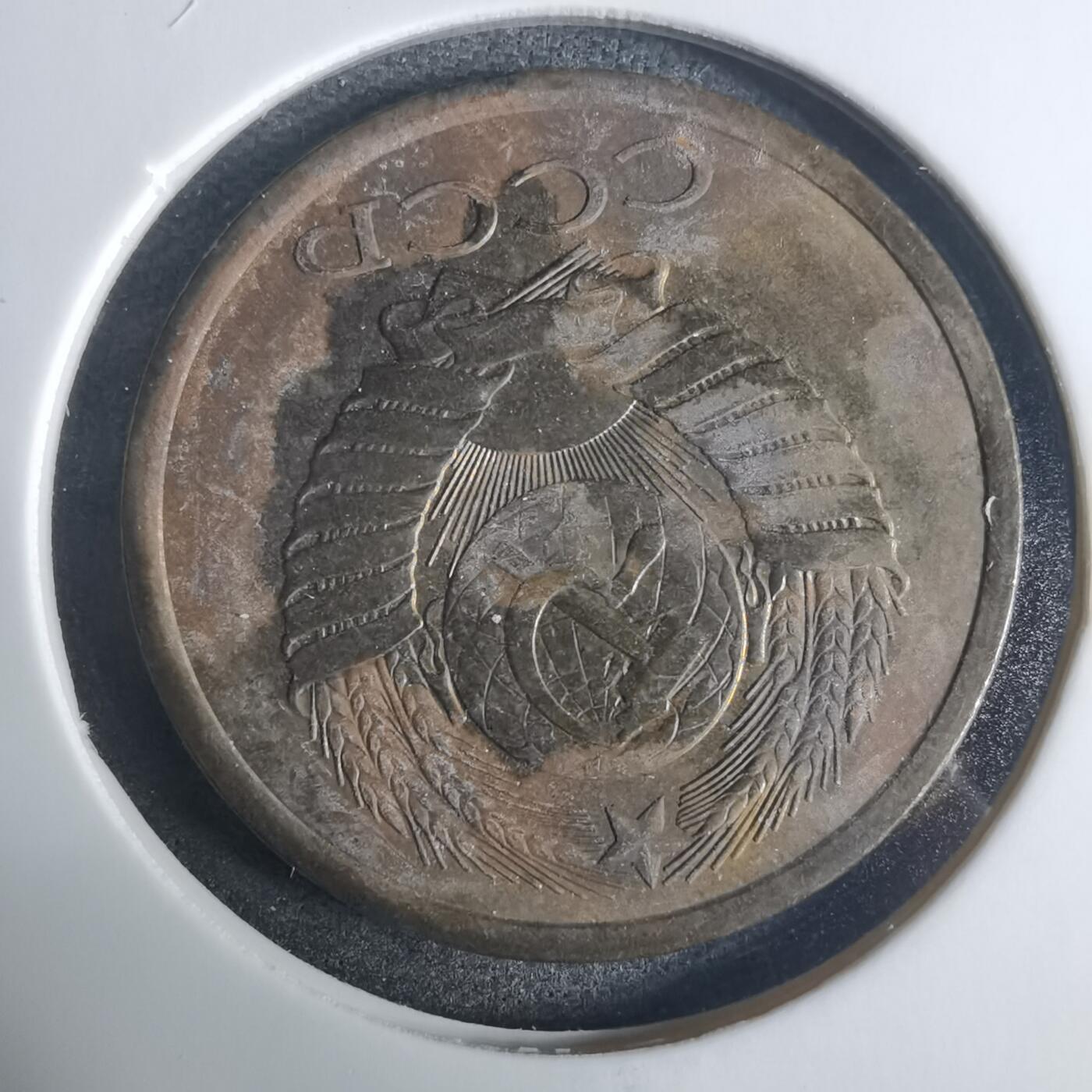 沼泽如烟--第919场