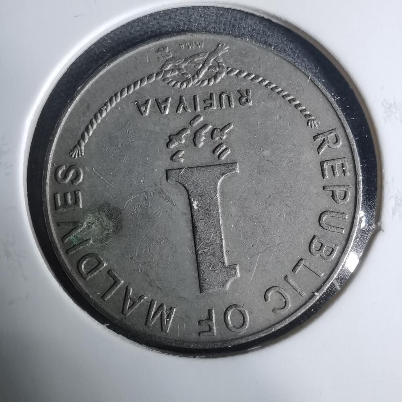 沼泽如烟--第919场