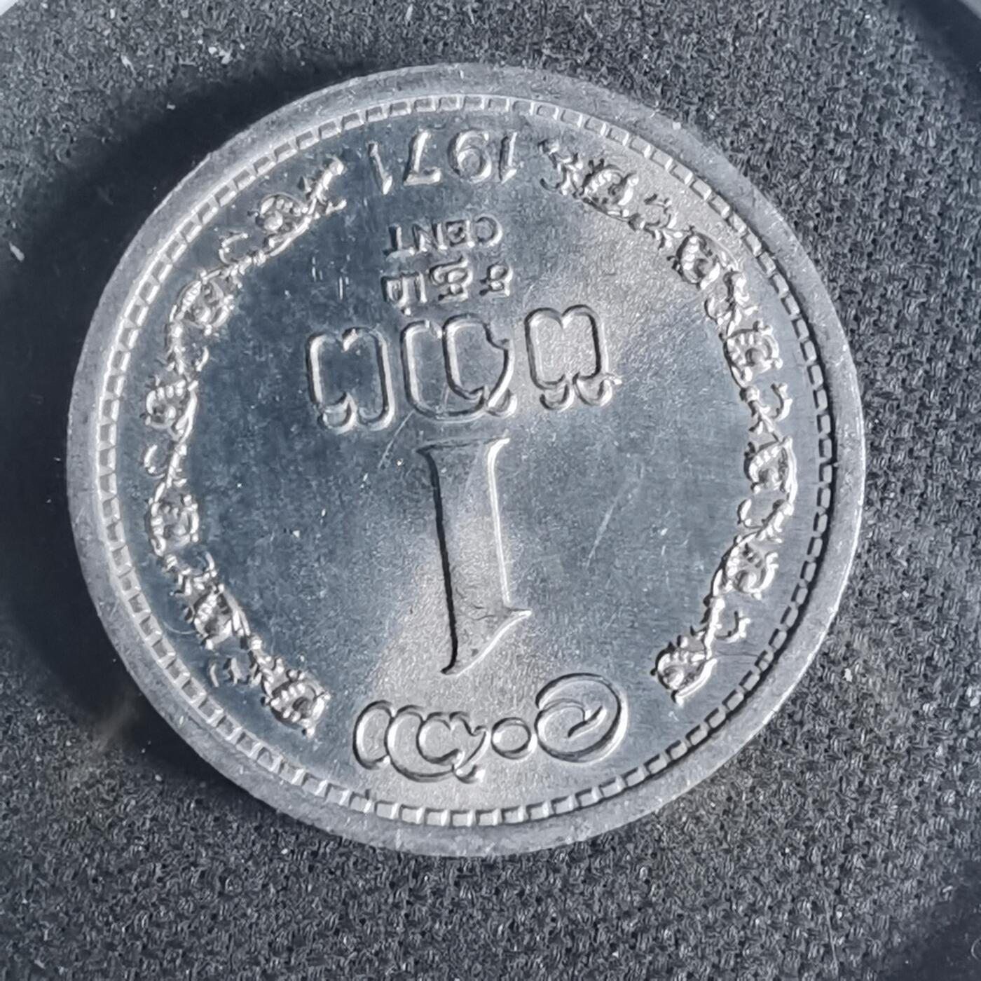 沼泽如烟--第919场