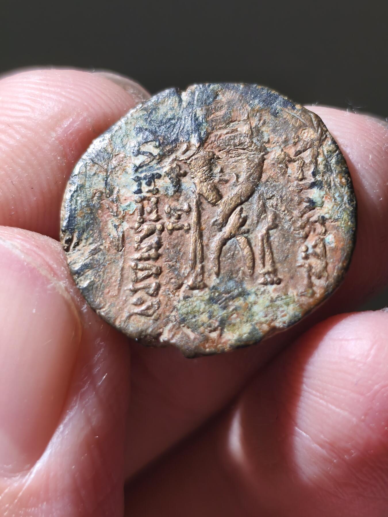 星盘世界钱币十二月六日古典币专场