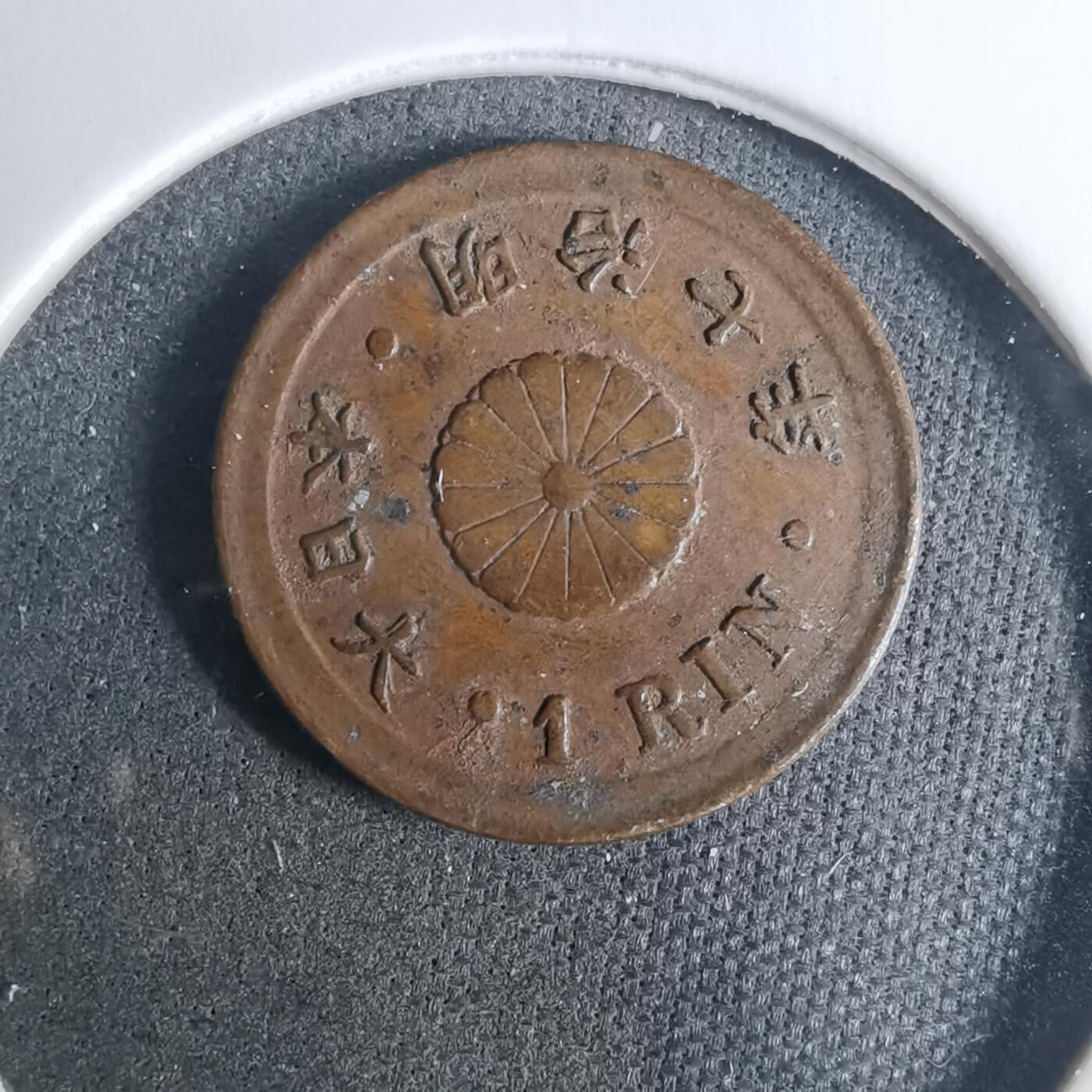 沼泽如烟--第919场