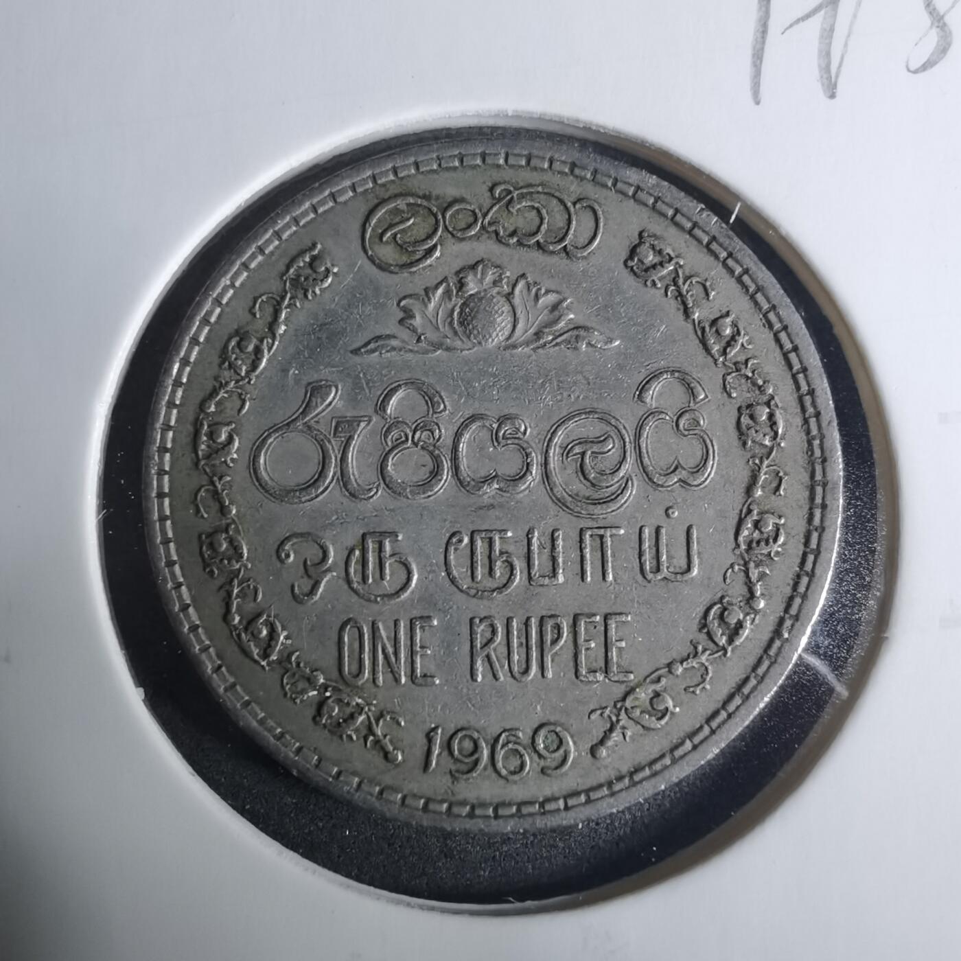 沼泽如烟--第919场