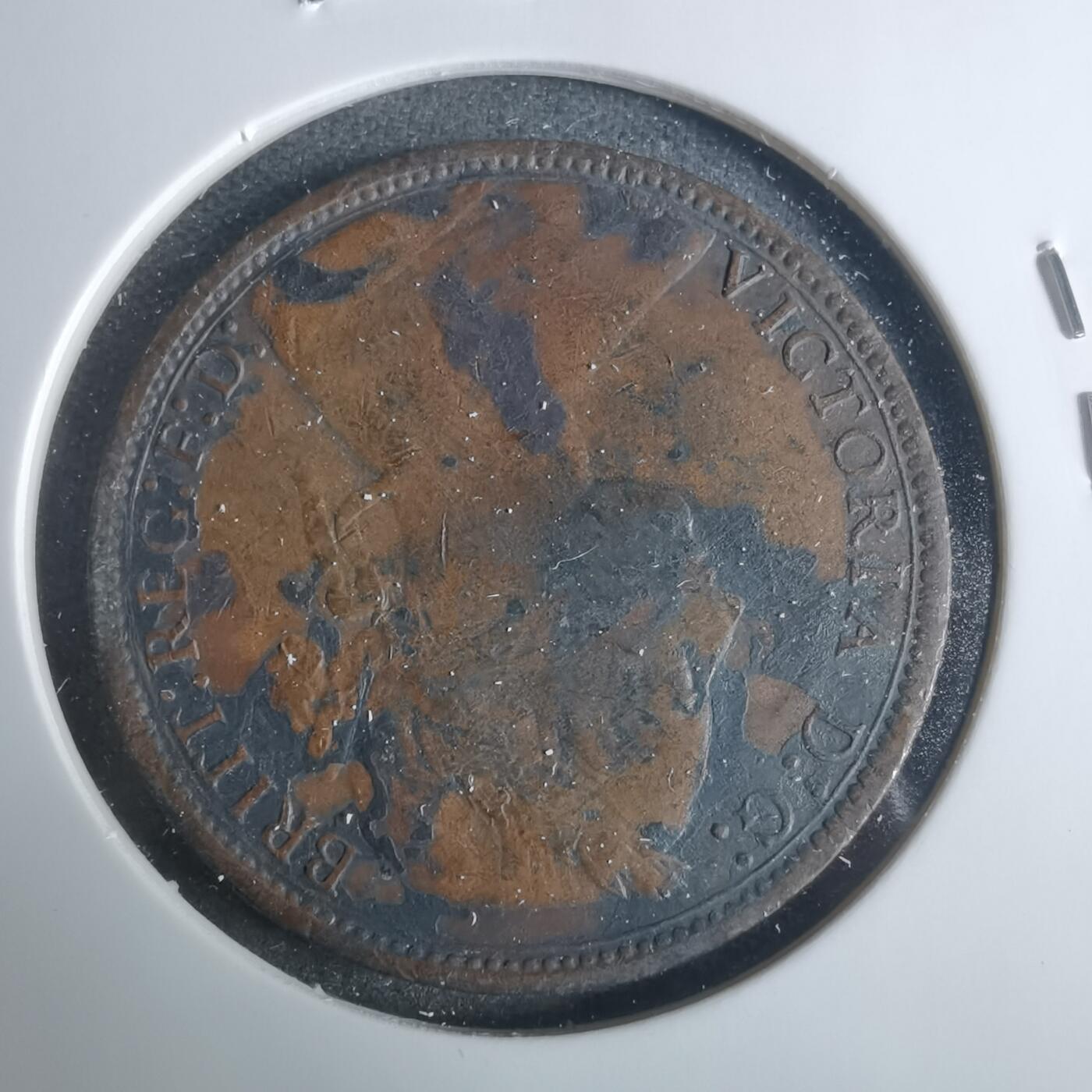 沼泽如烟--第919场