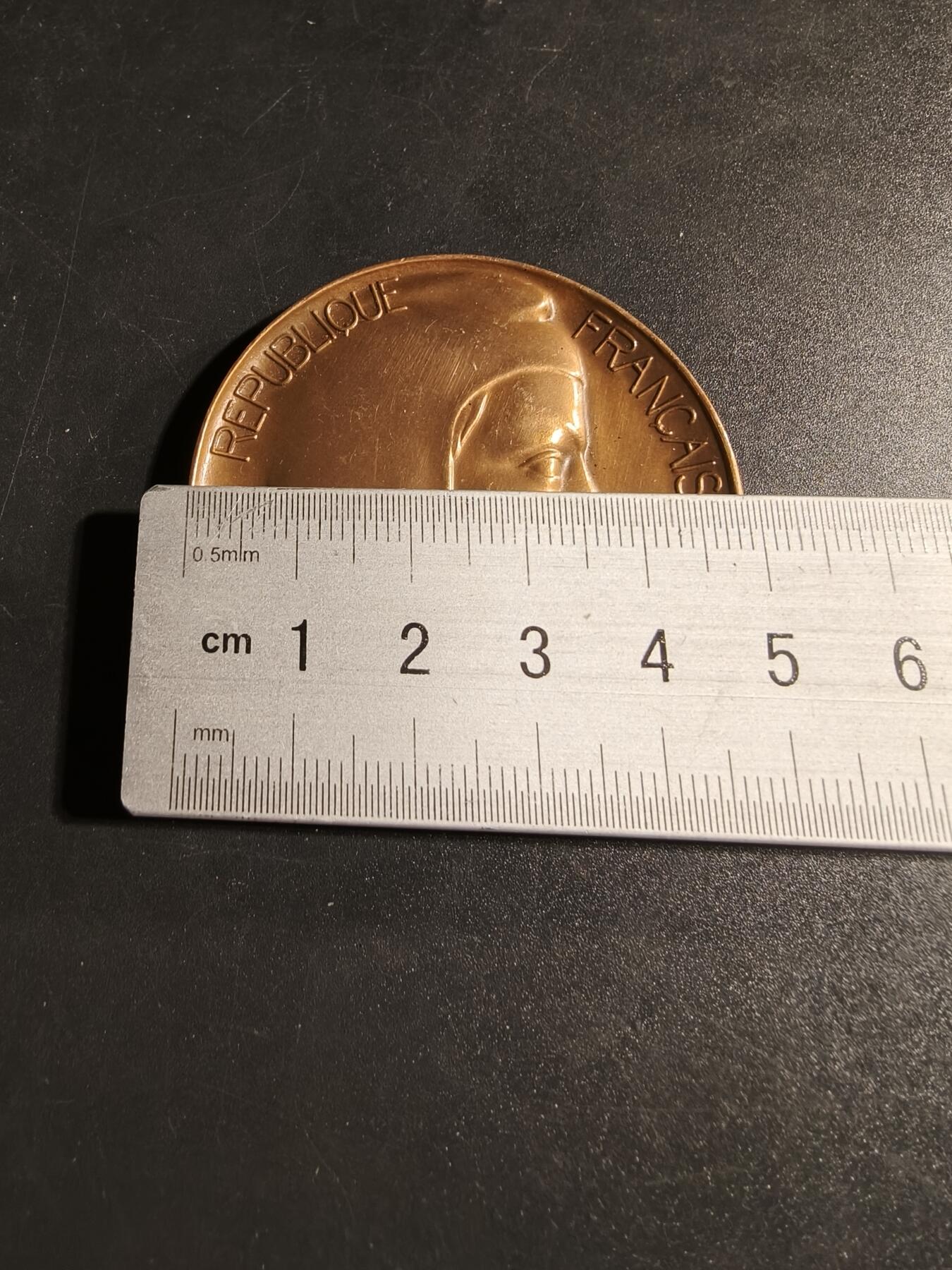 老王徽章第167期 法国维埃纳市参议员赠大铜章      直径50mm.    重量67.4g