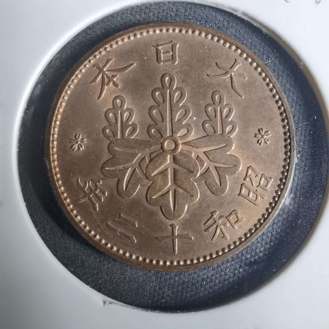 沼泽如烟--第919场