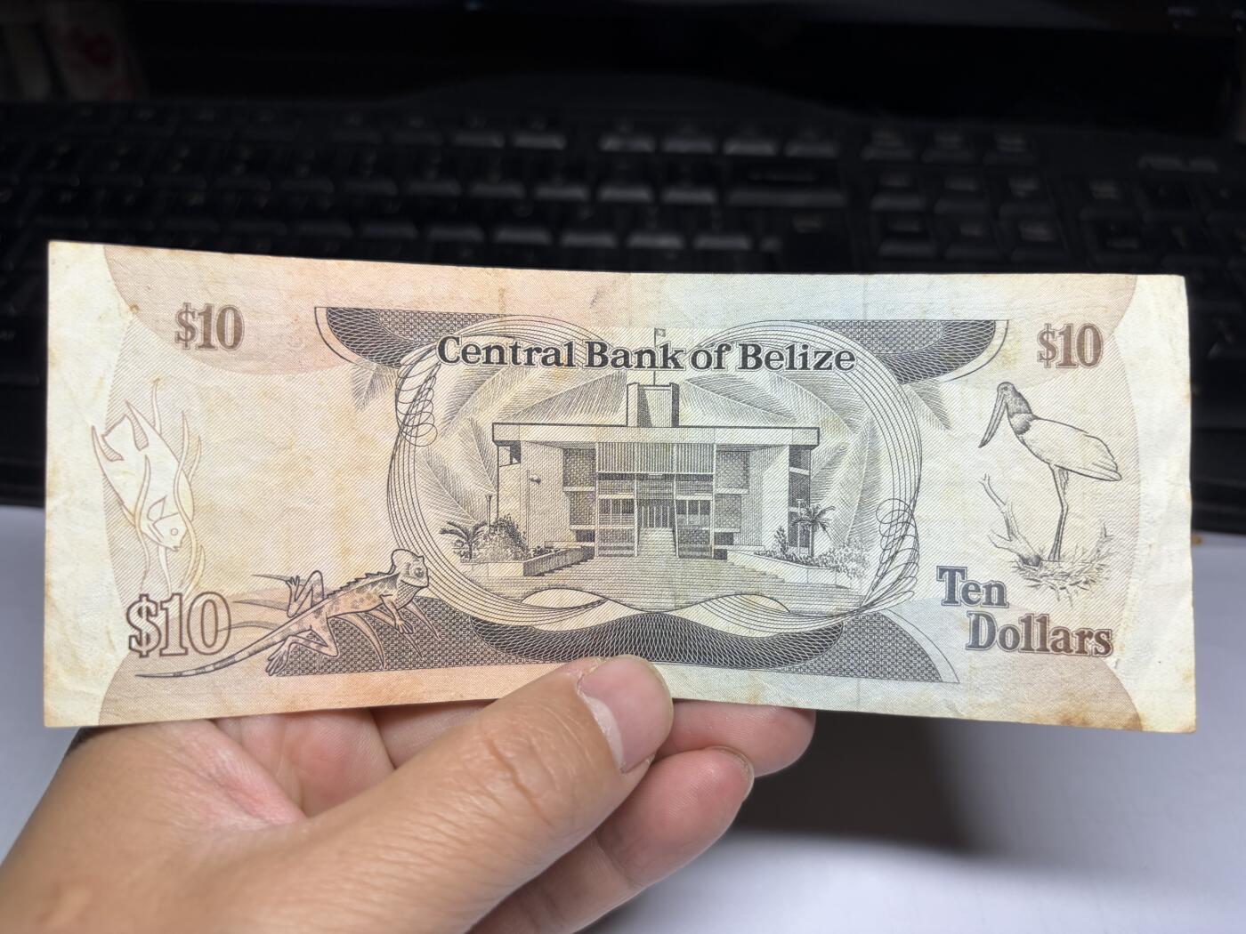 2025年集古藏今外币拍卖第十期-第10场—（总第290拍-纸币专场），本期拍完结算一次，发货时间2-3天，休息几天后继续新的一期拍卖。