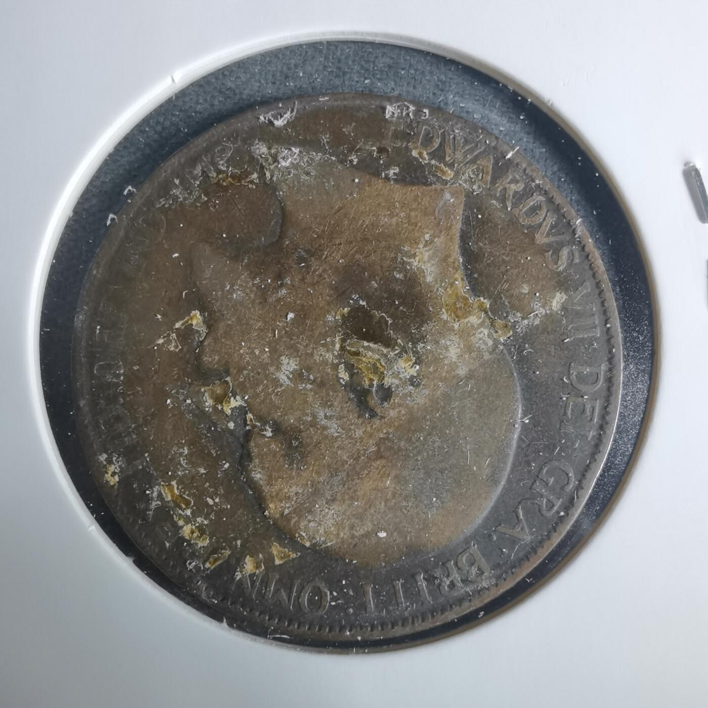 沼泽如烟--第919场