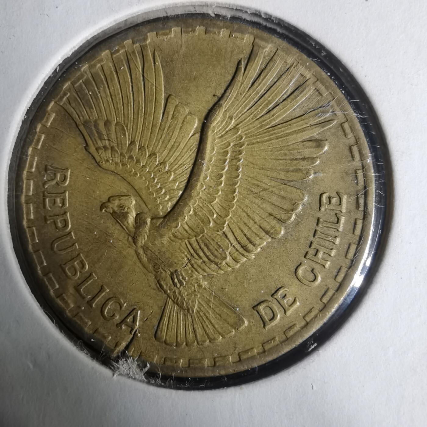 沼泽如烟--第919场 智利1964年十分