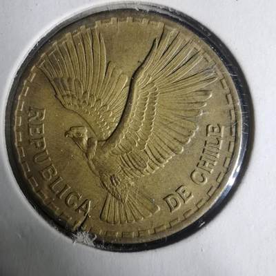 沼泽如烟--第919场 - 智利1964年十分