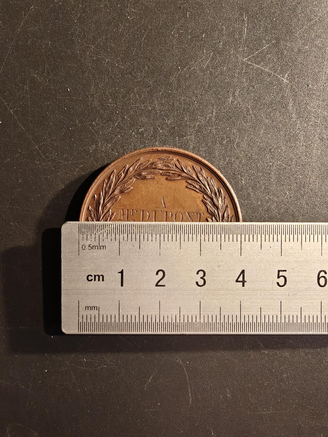 老王徽章第167期 法国巴黎动物保护协会大铜章     cuivre 铜标    直径41mm.    重量35.9g