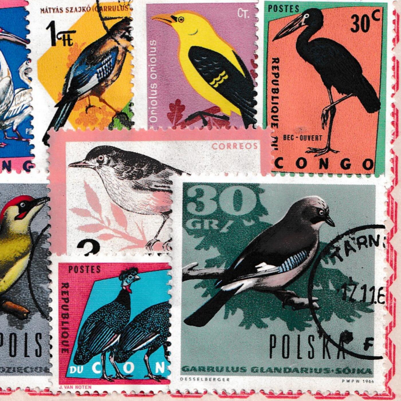 【良泉】【2025年最后一场】12月18日晚19.30点开拍！188组【直播场】西方古代钱币、丝路杂项、印章！ 【世界各地】鸟类题材邮票一组