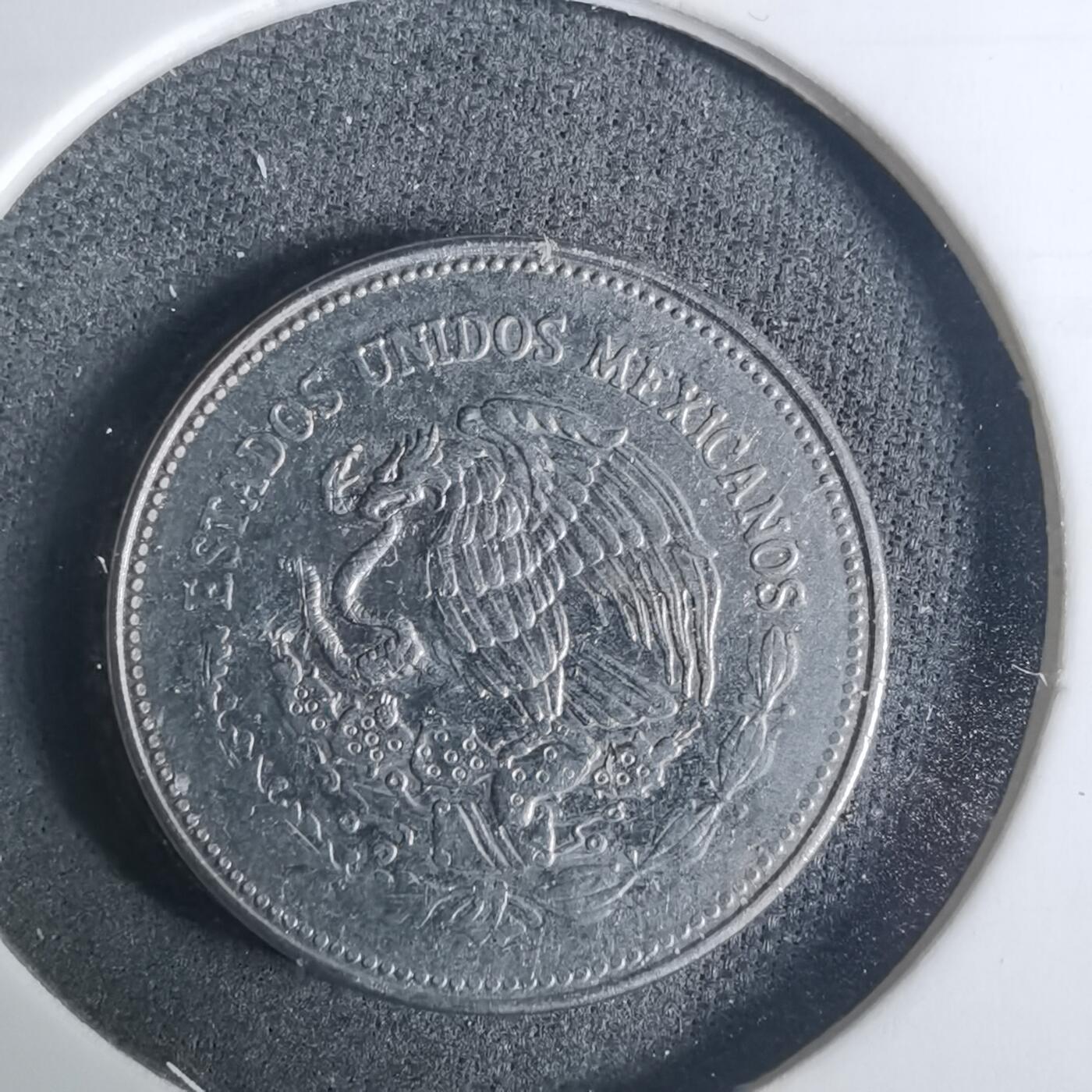 沼泽如烟--第919场