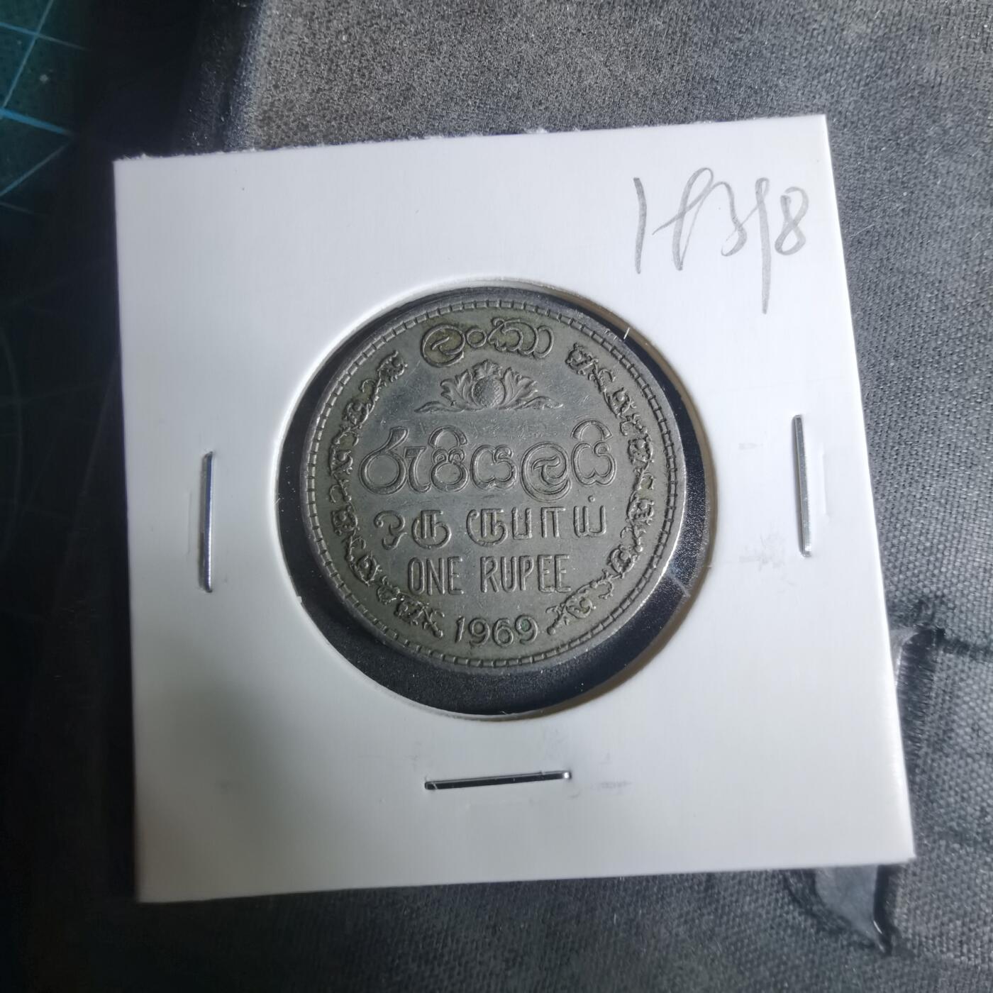 沼泽如烟--第919场