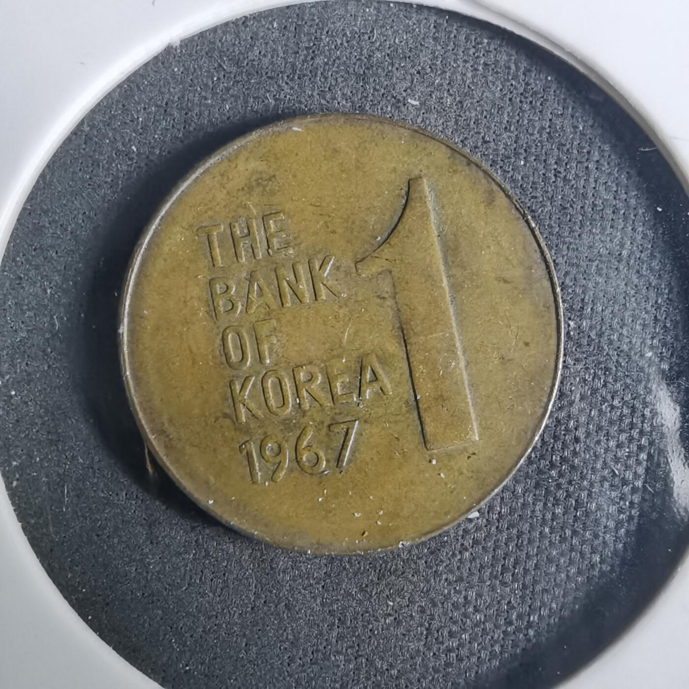 沼泽如烟--第919场