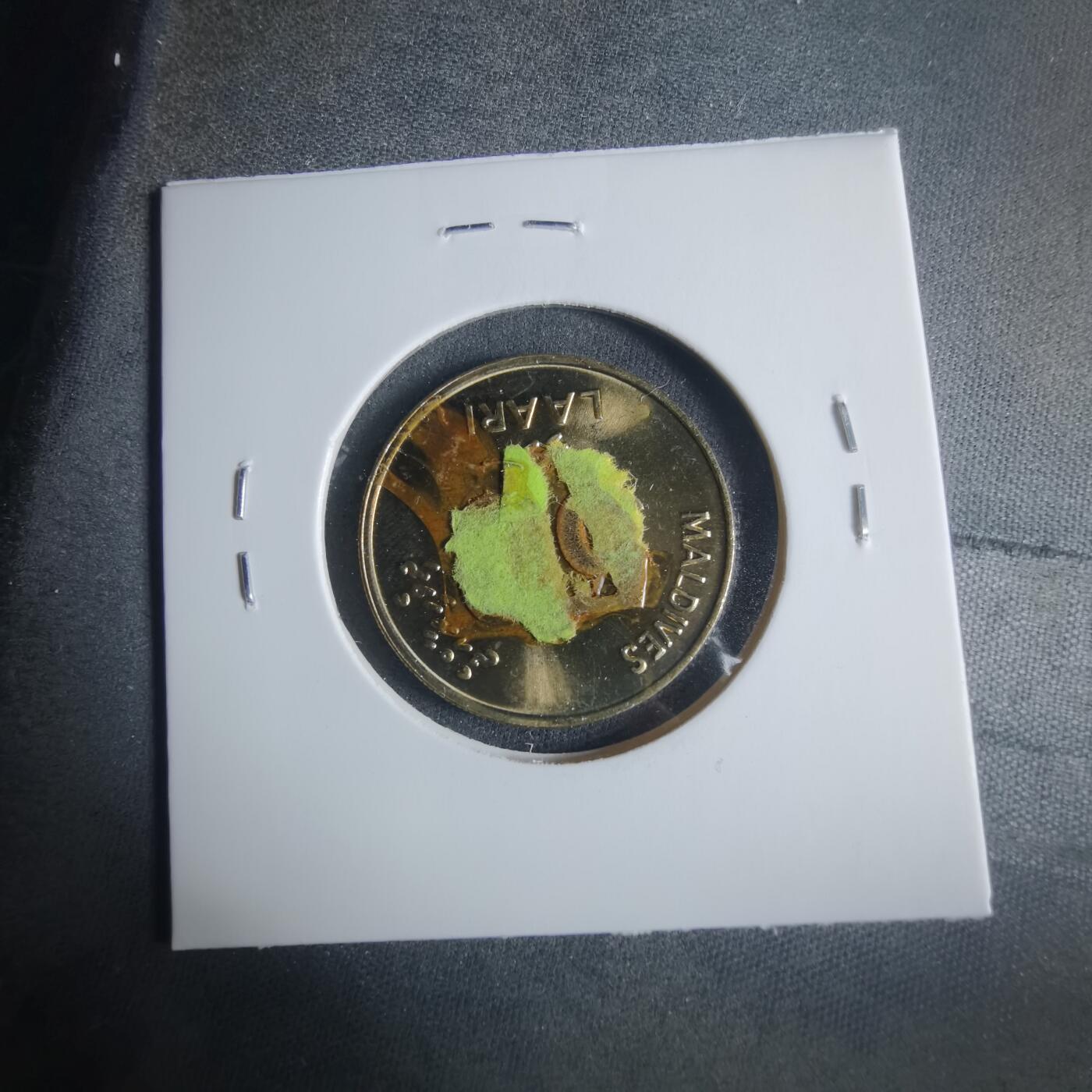 沼泽如烟--第919场