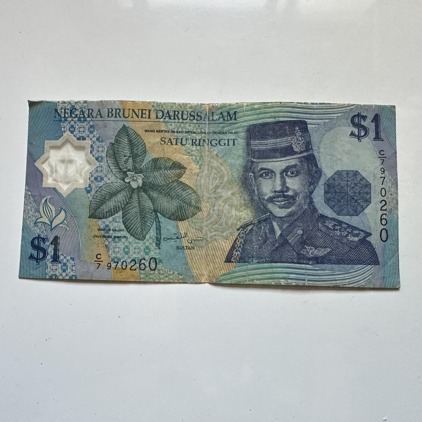 🌹外币初藏🌹🐯2025年第135场  每周二四六晚8️⃣点 接代拍 文莱1996年¥1