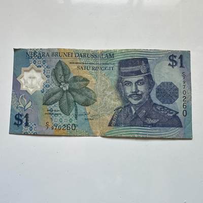 🌹外币初藏🌹🐯2025年第135场  每周二四六晚8️⃣点 接代拍 - 文莱1996年¥1