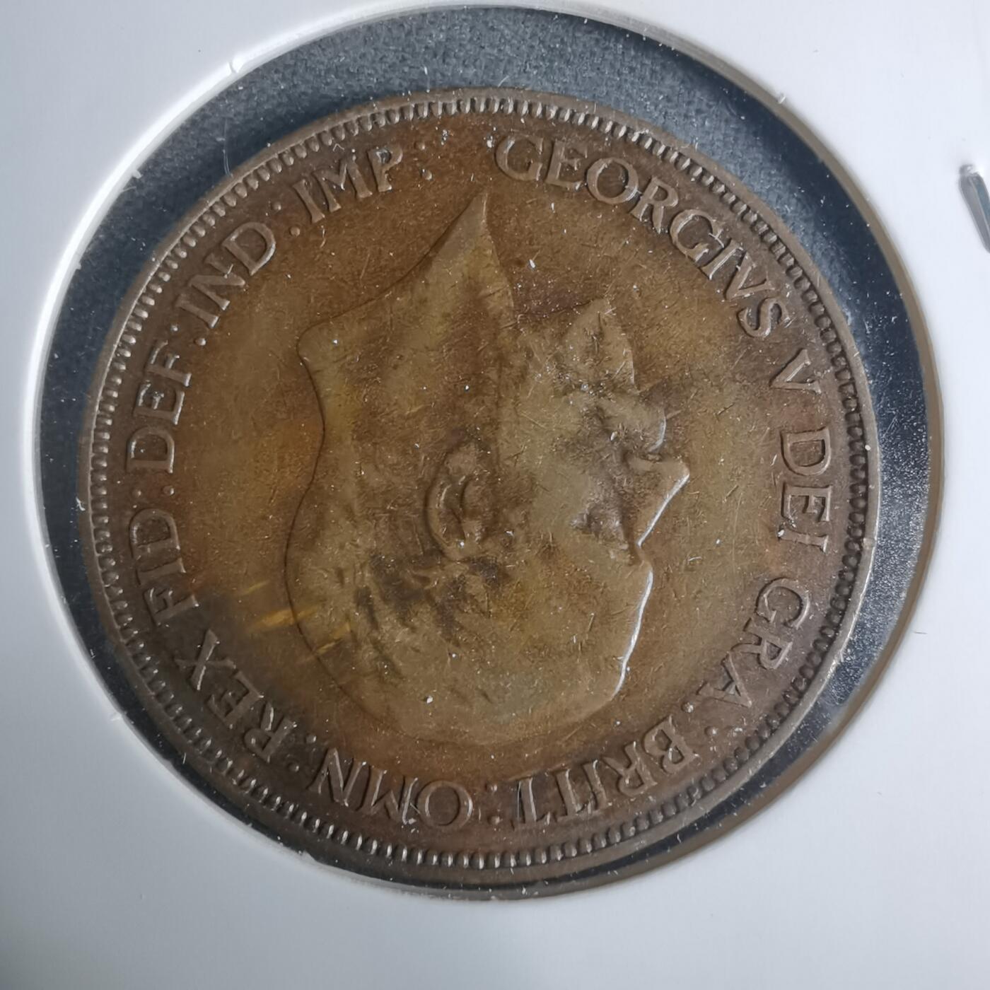 沼泽如烟--第919场