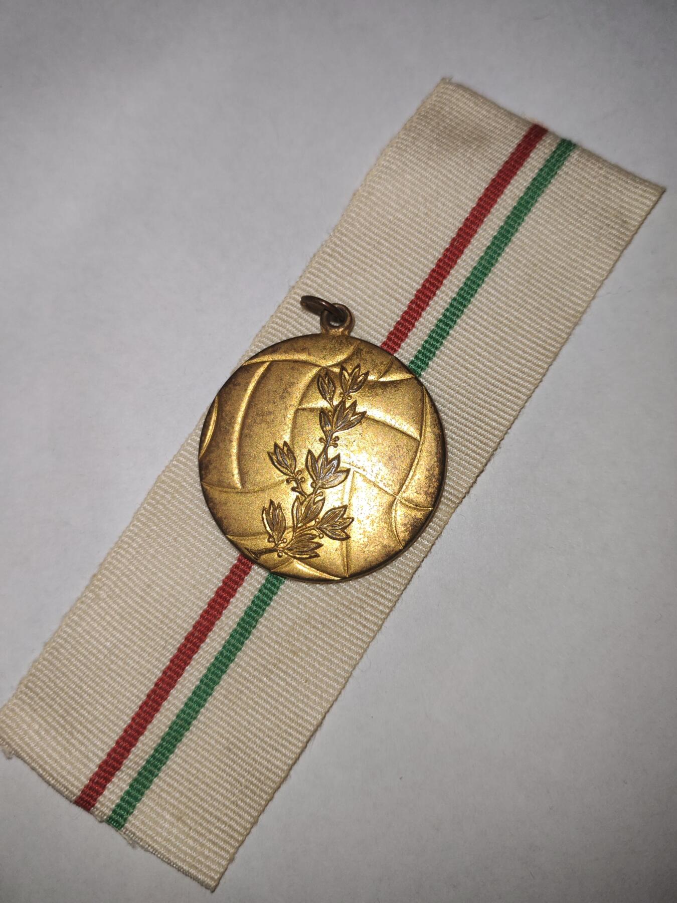 韵星假日拍卖第三十一期 -- Rimey Holidays Auction 31 匈牙利人民共和国金级体能运动会优胜奖章 设计很好看 正面图案为排球但并非颁发给排球运动员