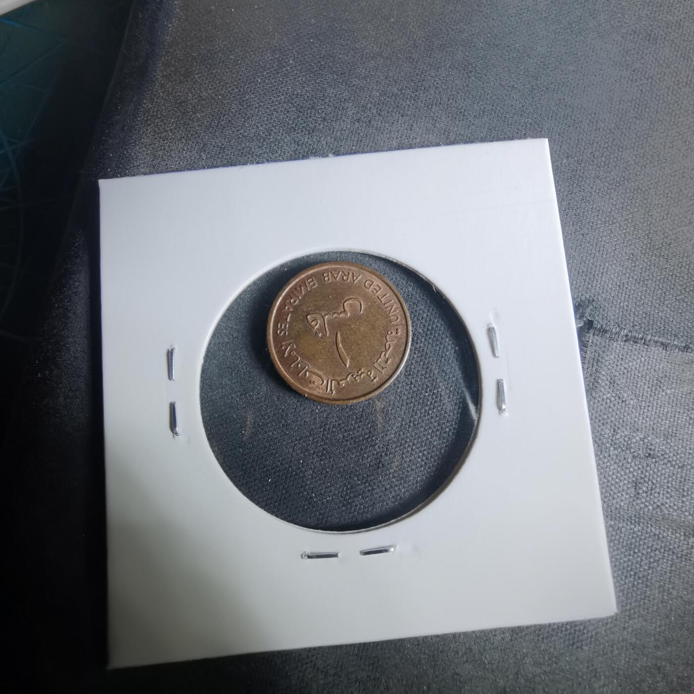 沼泽如烟--第919场