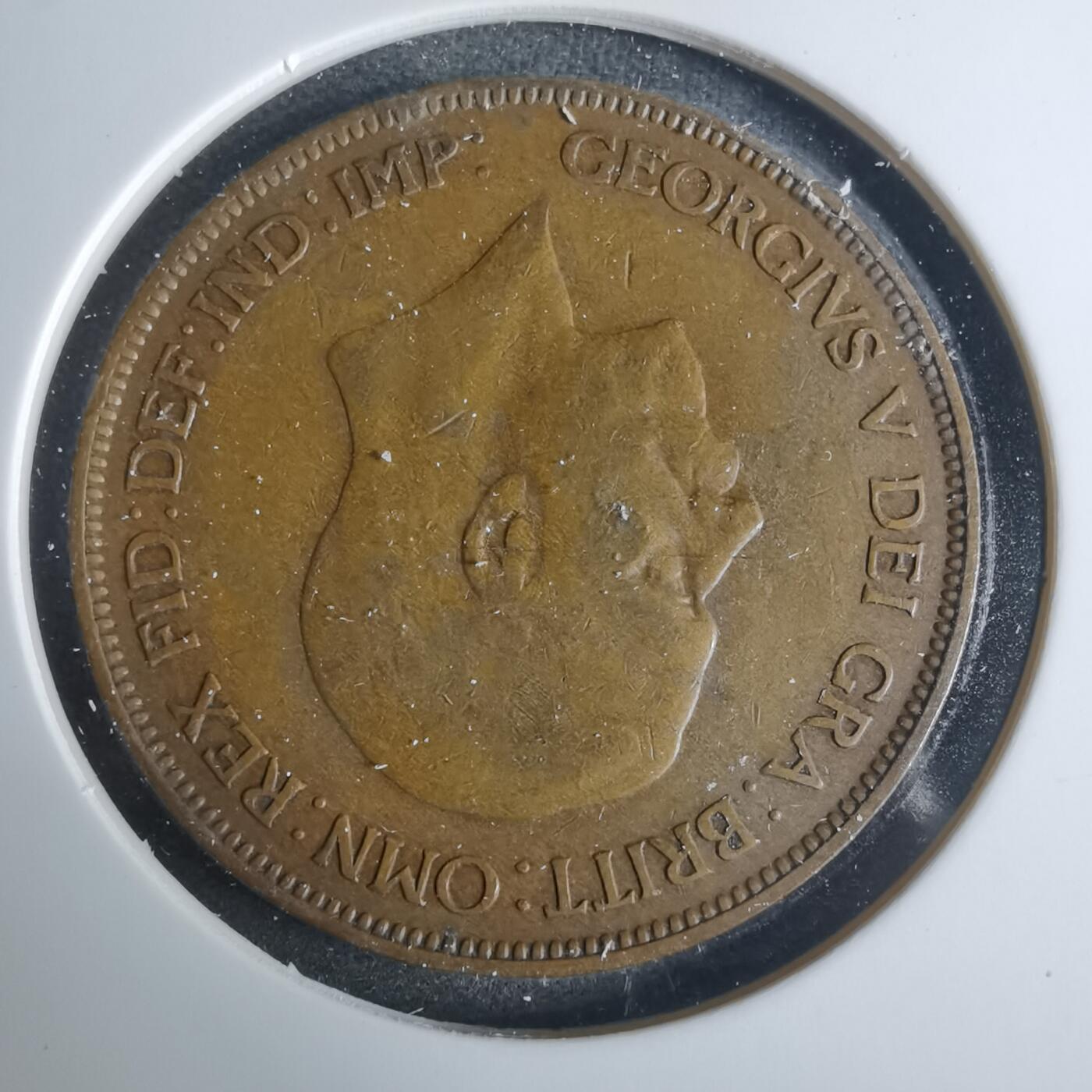 沼泽如烟--第919场