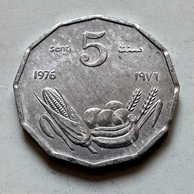 🌹外币初藏🌹🐯2025年第135场  每周二四六晚8️⃣点 接代拍 - 索马里1976年五分