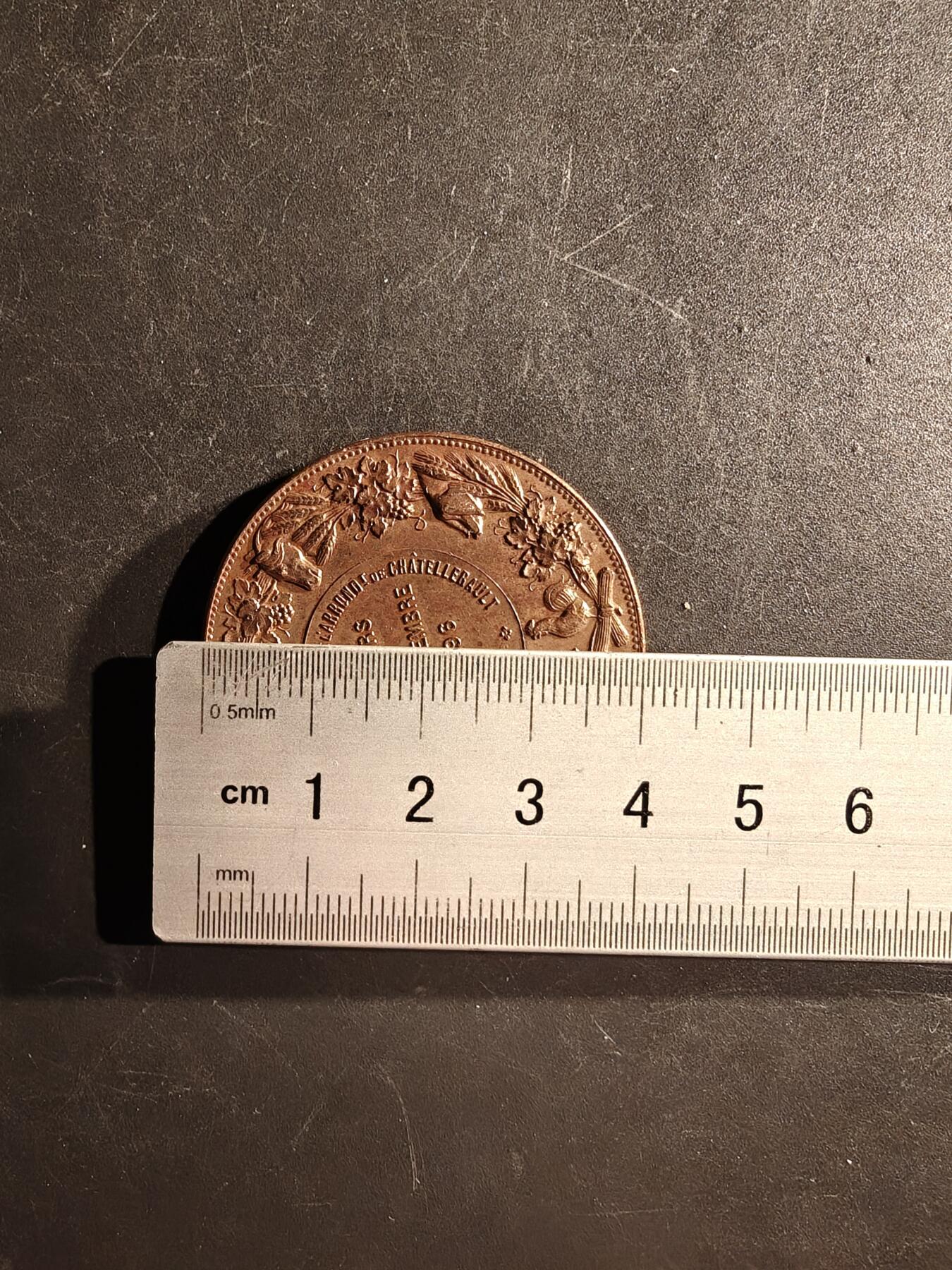 老王徽章第167期 法国1896农业和葡萄栽培竞赛大铜章     直径41mm.    重量32.2g