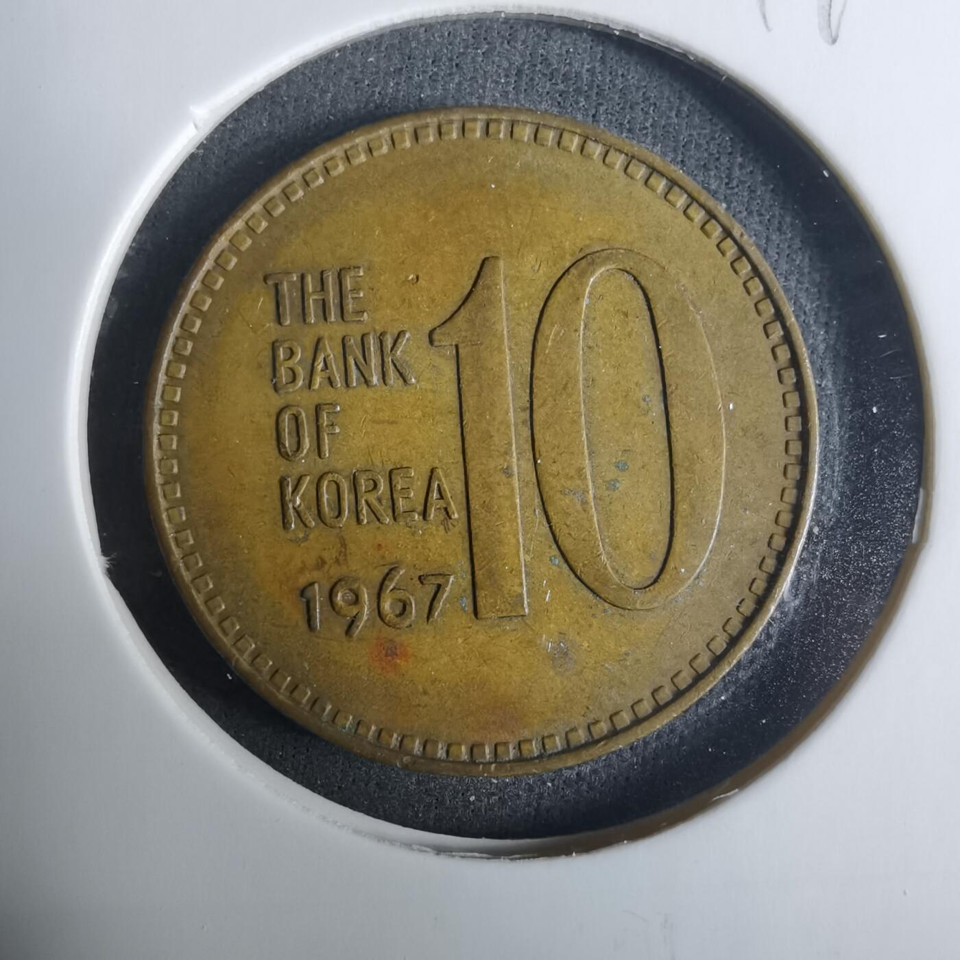 沼泽如烟--第919场