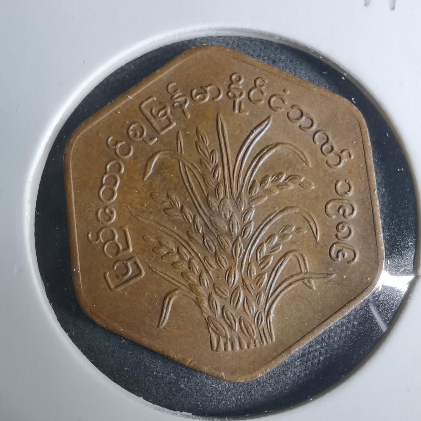 沼泽如烟--第919场 缅甸