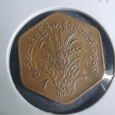 沼泽如烟--第919场 - 缅甸