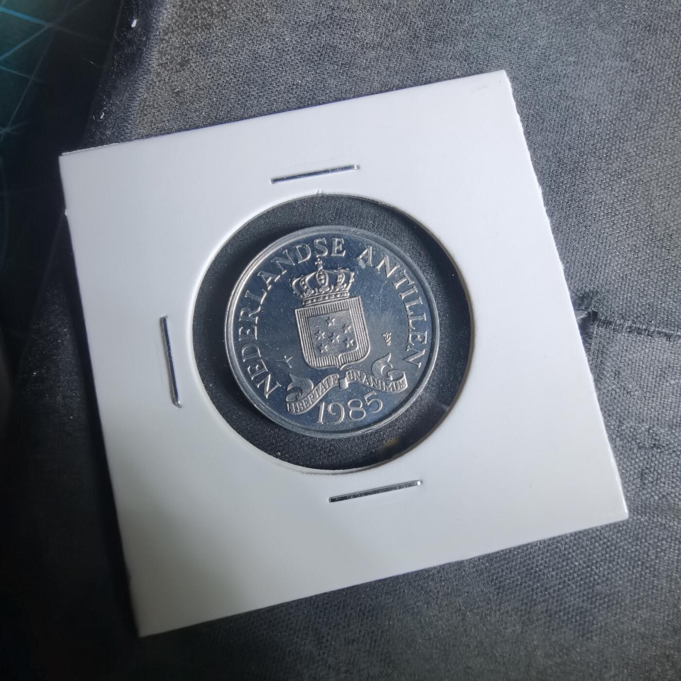 沼泽如烟--第919场