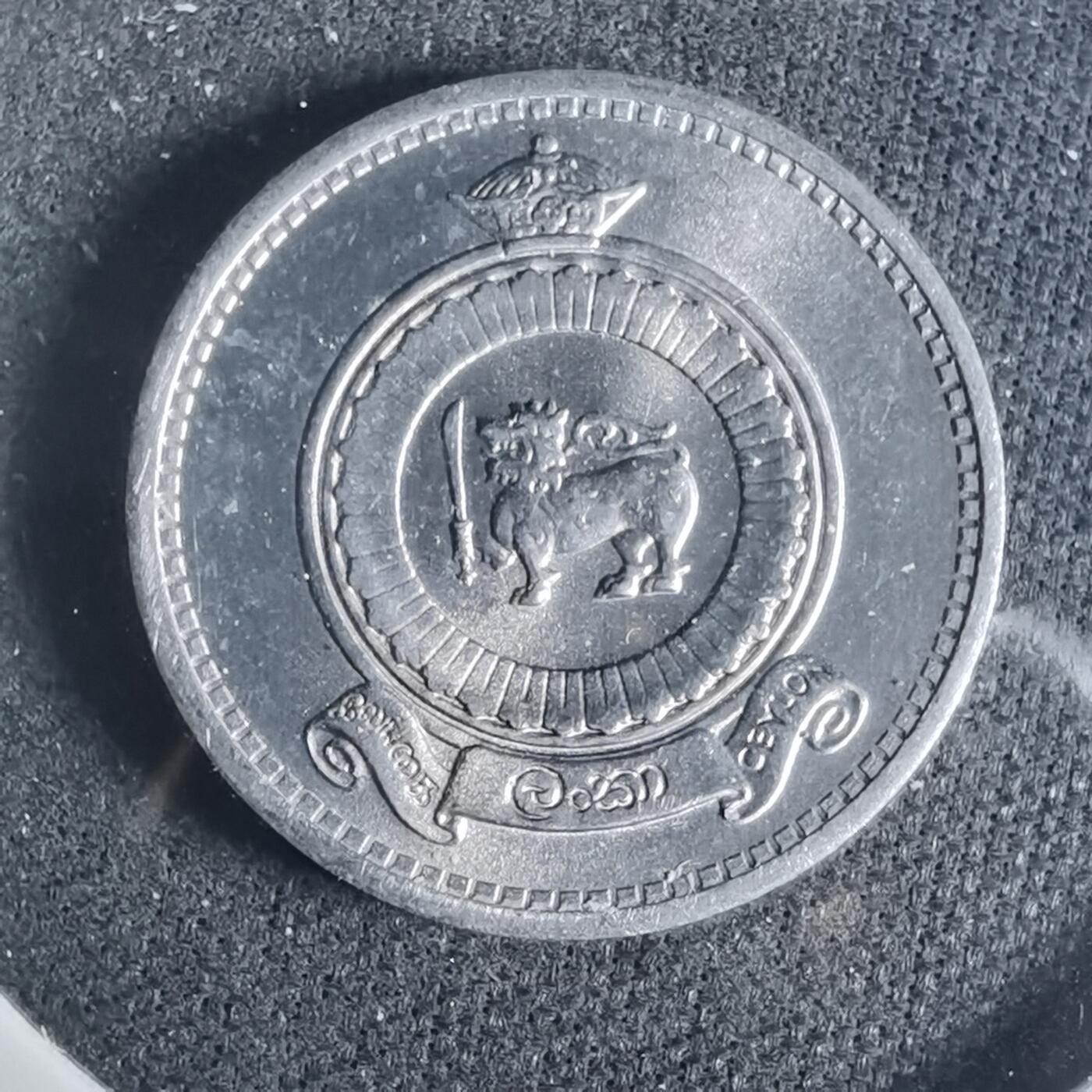 沼泽如烟--第919场