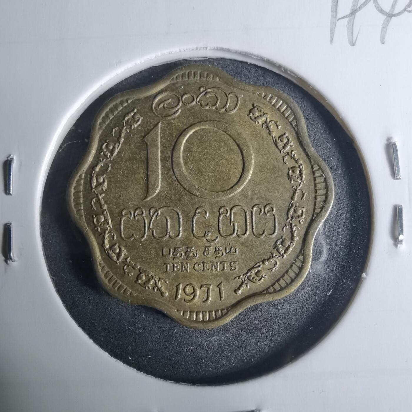 沼泽如烟--第919场