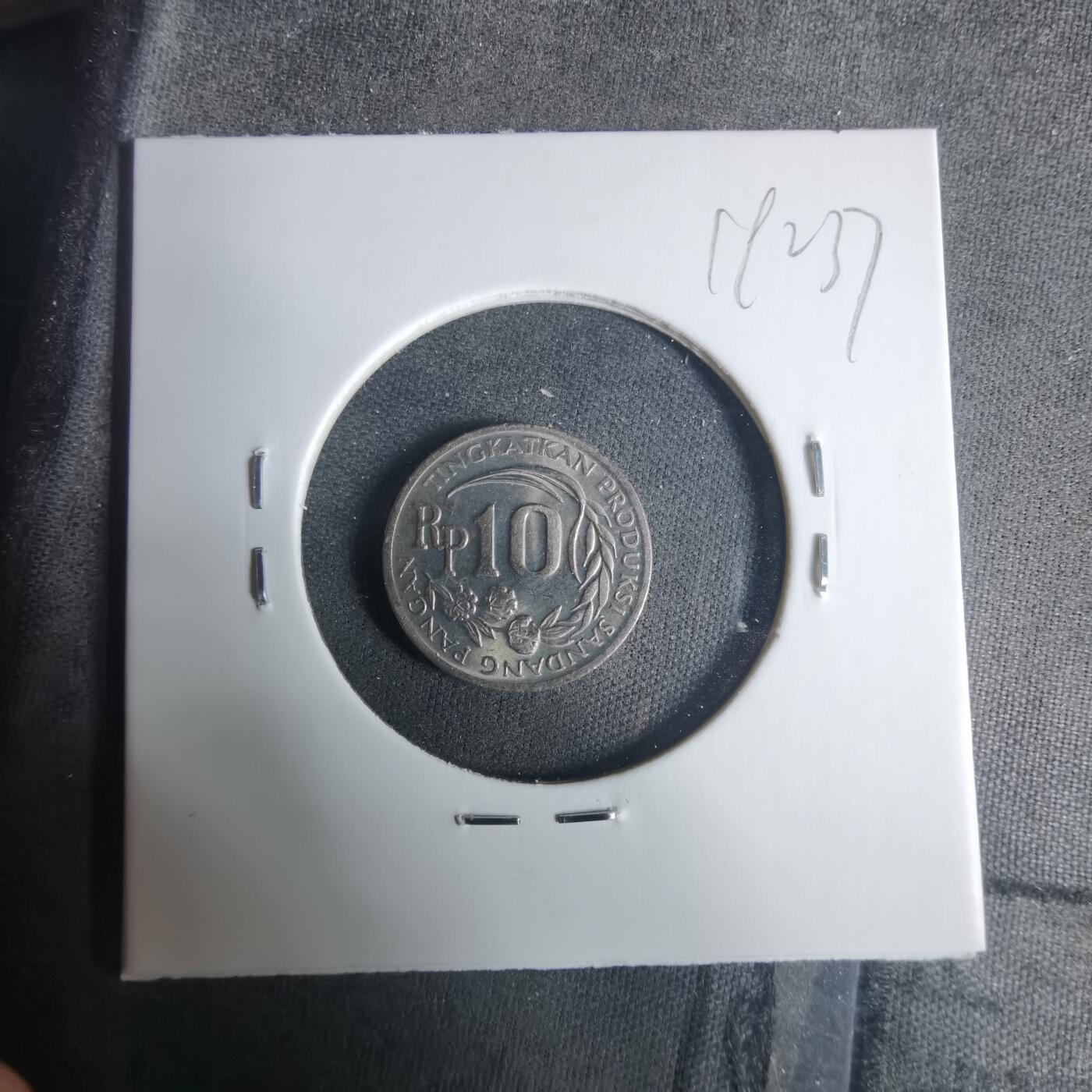 沼泽如烟--第919场