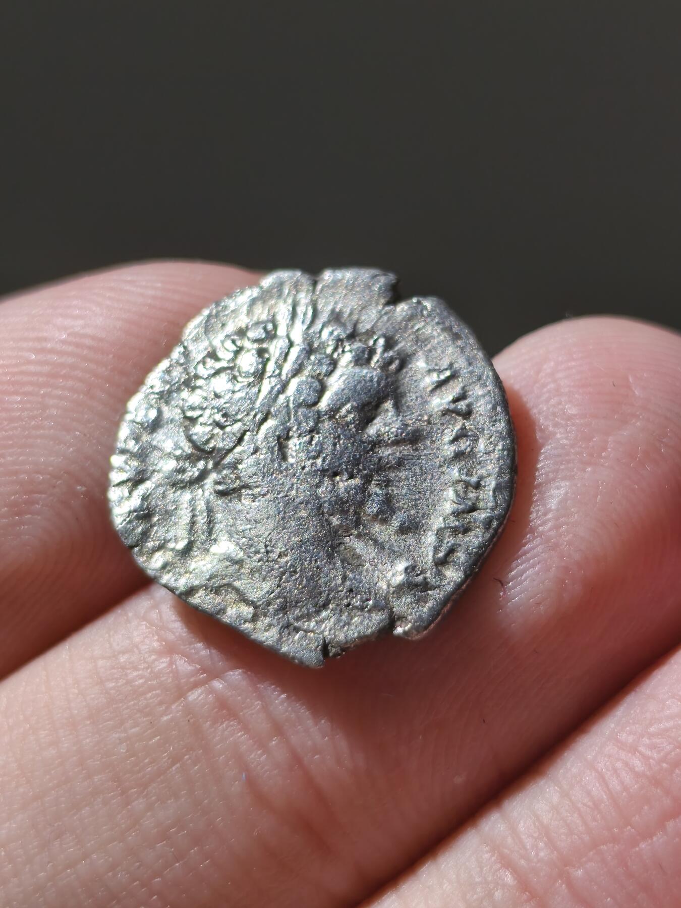 星盘世界钱币十二月六日古典币专场