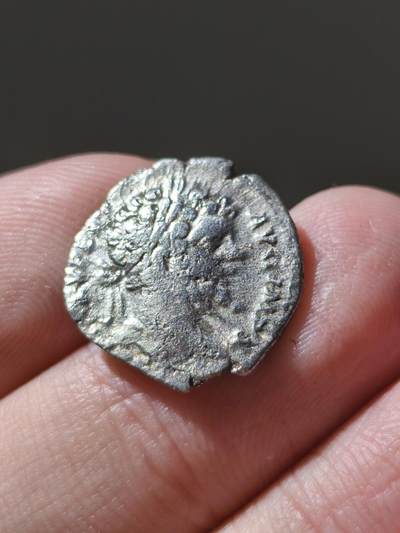 星盘世界钱币十二月六日古典币专场 - 罗马帝国 公元193-211年 塞普蒂米乌斯·塞维鲁（塞维鲁王朝开国皇帝） 第纳尔银币