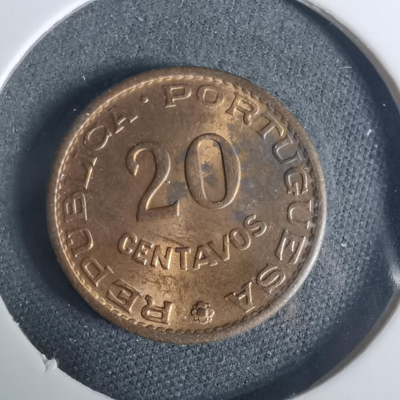 沼泽如烟--第919场