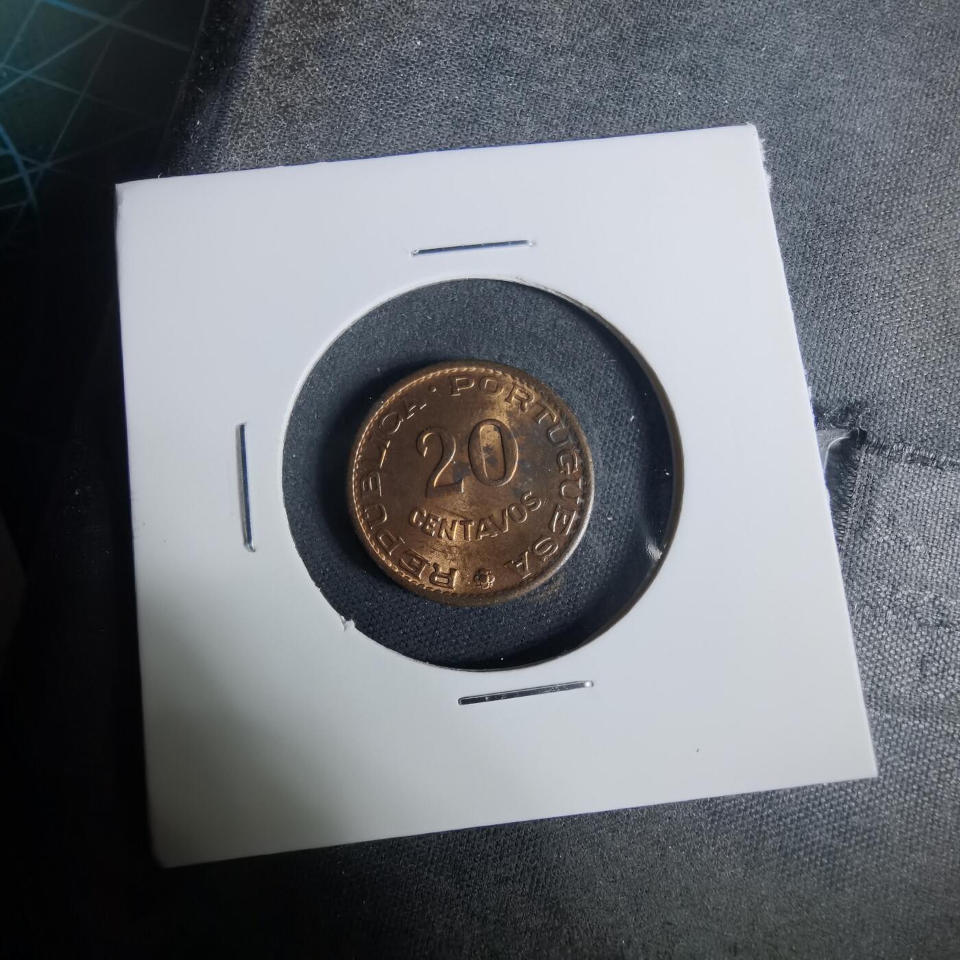 沼泽如烟--第919场